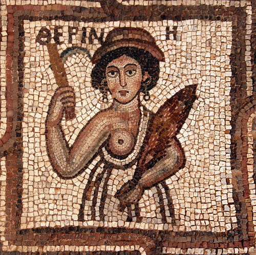 romegreeceart: East Roman / Byzantine floor mosaic from Petra church middle 5th century / 6th centur