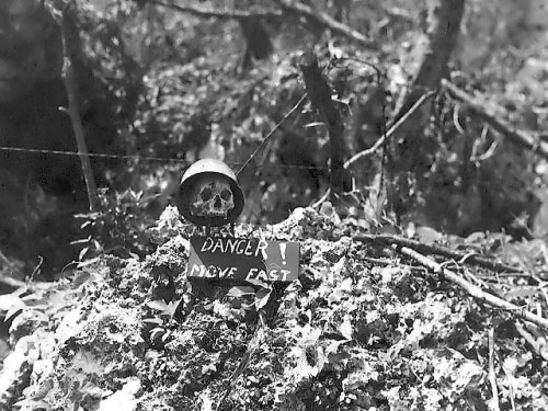 higher-hammers-of-hate: Japanese skull used as a warning sign at Peleliu. 1944