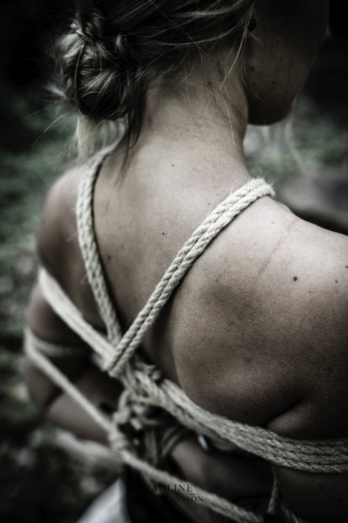 max-johansson:bound up with nature  boxtie / body harness  縛り Shibari