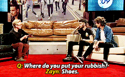 zaynsxo:  + 