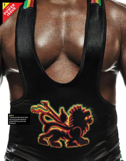 XXX rybackdoorsluts9:  The Chests of the Superstars photo