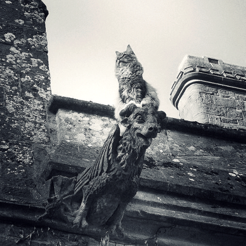 Gargoyle-Chimera with unexpected Guardian of the Gates of Hell. Knightshayes Court, Devon, England.&