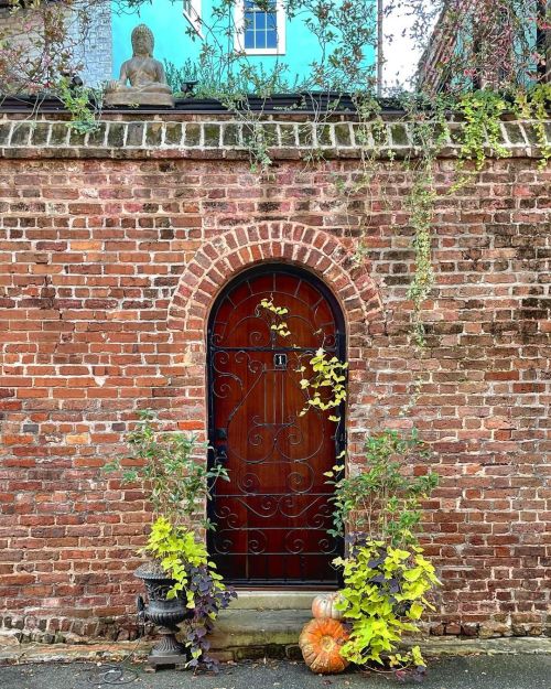 Happy Thanksgiving from the Lowcountry!(at Charleston, South Carolina)https://www.instagram.com/p/CI