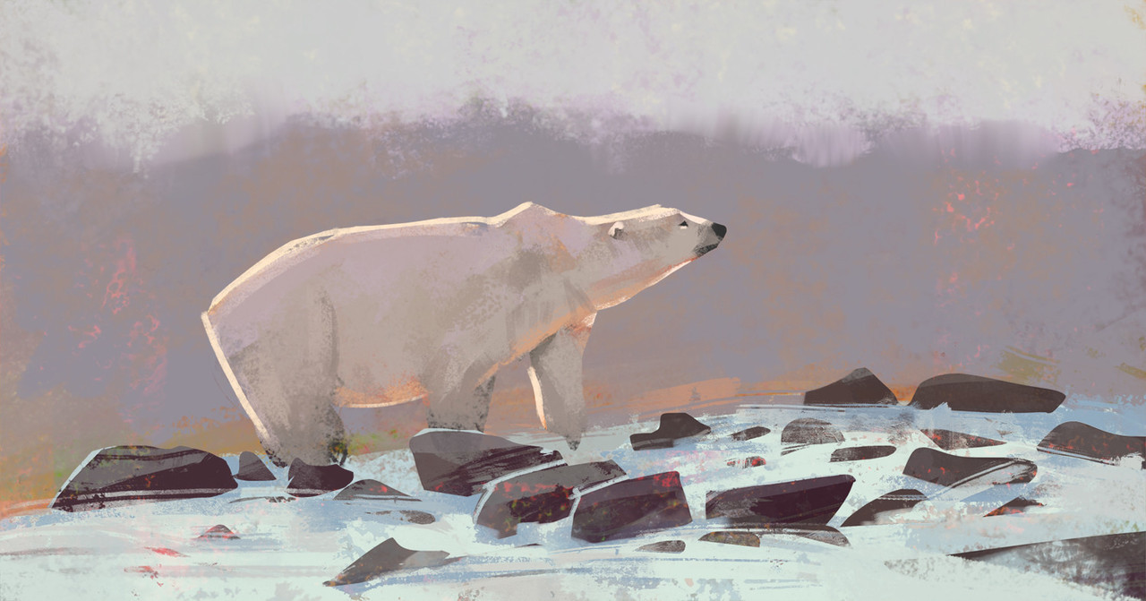 thecollectibles:NovemBEAR challenge by  Tom Lopez  
