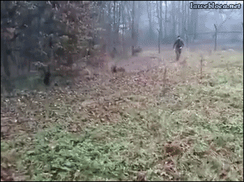 Sumérgete en la niebla de tus pensamientos