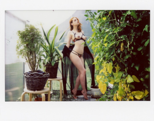 alicexblog:  Polaroids #8Patreon // Site porn pictures