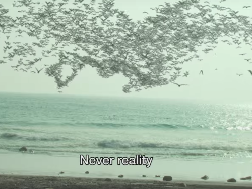 The Dance of Reality (2013), dir. Alejandro Jodorowsky