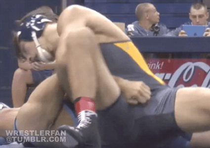 Why We Wrestle