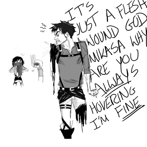 gottachasepigeons: AoT feels a little bit like an Oprah giveaway sometimes. “YOU get a missing