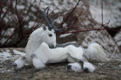 As winter approaches, looking back on some of the snow photography I’ve done! These are a