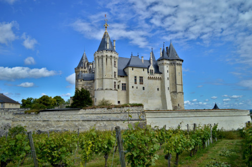 Le château de Saumur