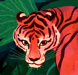 salamispots: tiger tiger