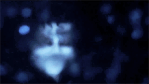 lovegungun:  Malice Mizer - 再会の血と薔薇 