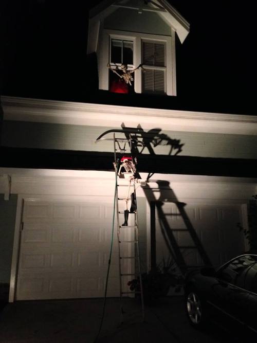 spookydeerchild: kristenraemiller:  For the month of October ‘til Halloween, my dad changes up the scene of these 2 skeletons on his front porch each day for the neighbors to check out. Very creative!  Peaceful times before the skeleton war 