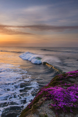 missblissfreshstart:  earthyday:  North Swell  by Kevin Doty   💋