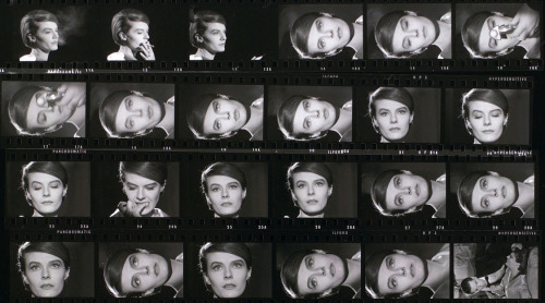 felineillusion:Contact prints of Last Year at Marienbad (L'année dernière à Marienbad) / 1961 / dir.