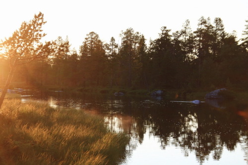 A near perfect evening by the river bed (07-14-17)