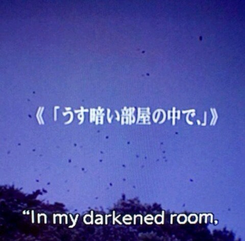 hollywood-noir:   soft grunge❥