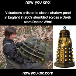 nowyoukno:  Now You Know more about Doctor Who! 