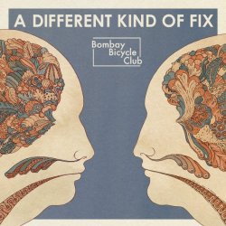 seasidesound:  Bombay Bicycle Club’s A Different Kind of Fix album art by illustrator Katie Scott