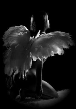 dominantstateofmind:   WHEN A DOMINANT MUST LET HER FLY 1. Sometimes birds need healing and love; sometimes they need to fly. 2. If a Dominant does his craft well, she can fly when she chooses.  3. An empty collar hurts like hell, but there is pride