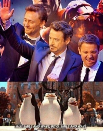 herone-andonly:  Posting this for the THGC.  :-P  men in suits AND penguins. best. xmas. ever!