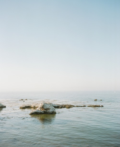 shell beach 