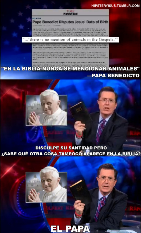 jesusto:  Los animales y el papa. 