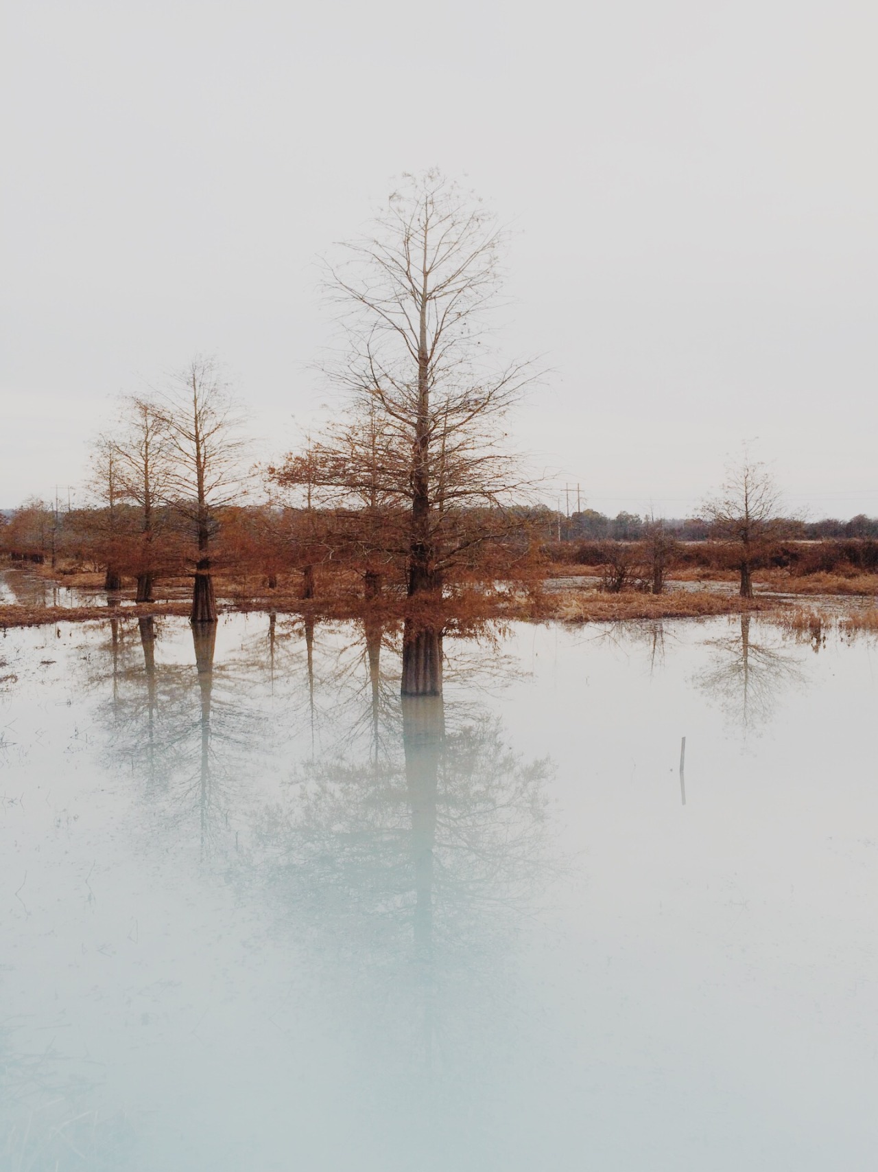 danielodowd:  brenton