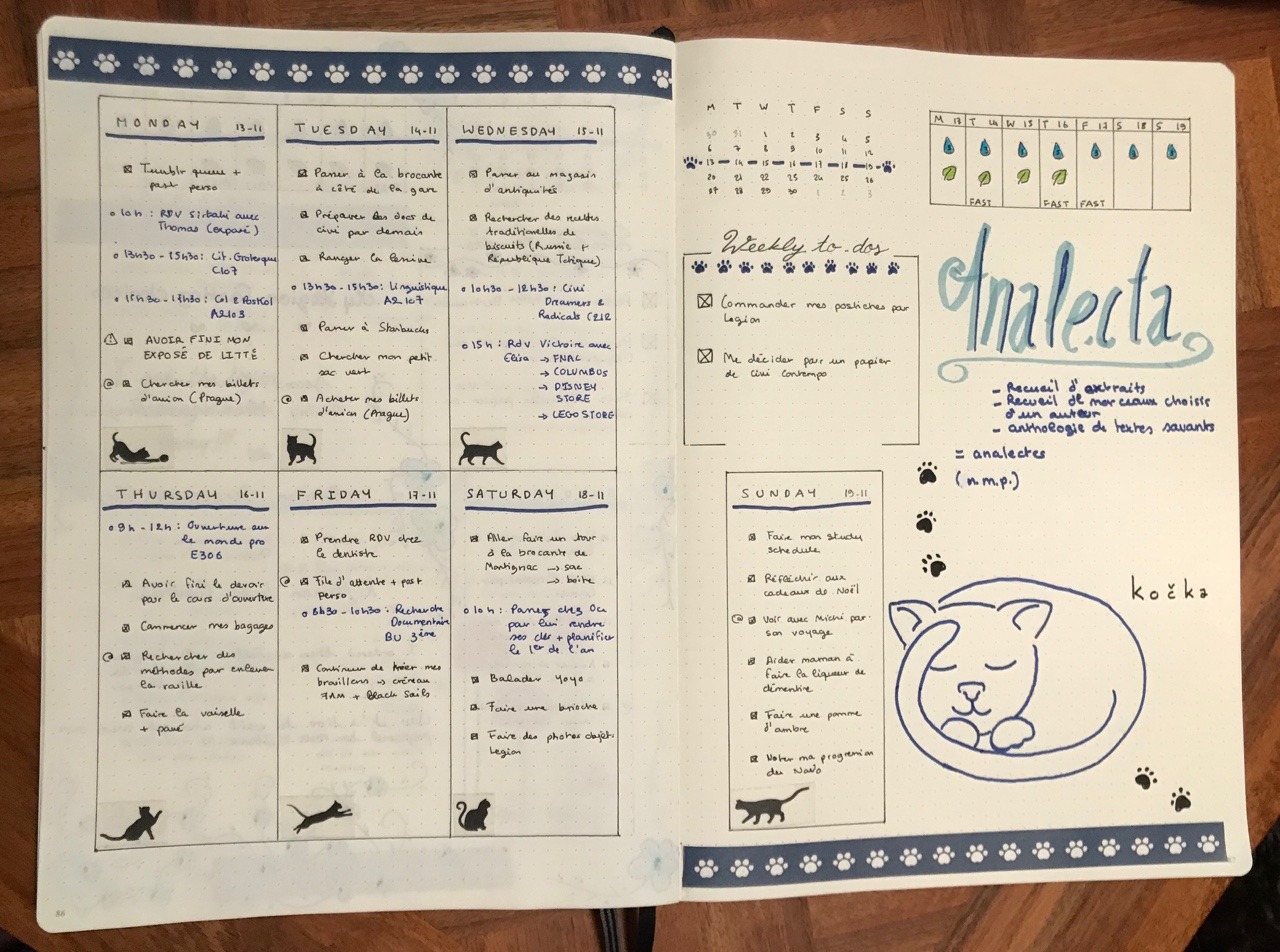 sweetymutant:  You would never guess what this week’s spread’s theme was… 🐾