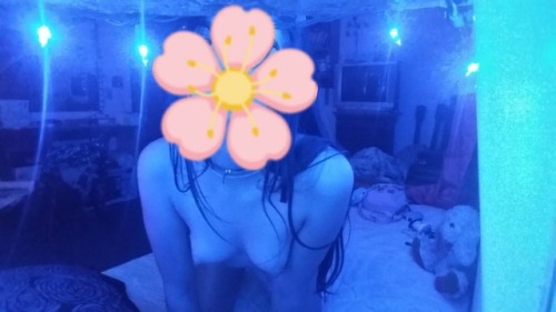 littleslaveslittlecave: Some pictures that Kitten took for me while I was at work. I think she misse