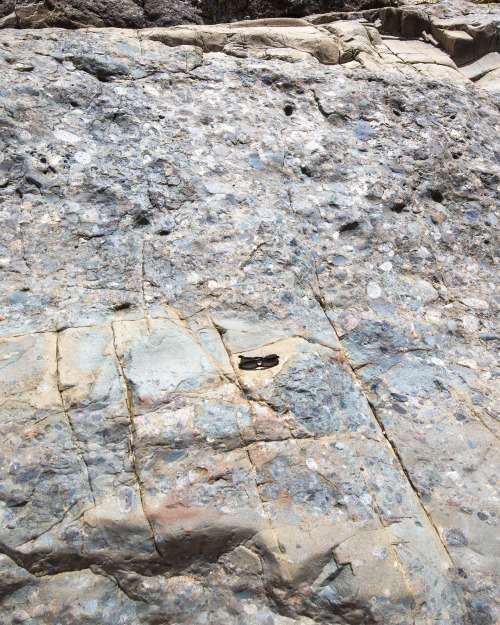 2022: The Rocky Creek Glaciation Area, Bingara. Nice examples of tillites from the Carboniferous. A 