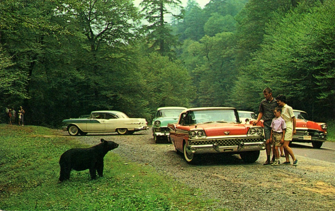 wrinklesoftime:
“ http://2.bp.blogspot.com/_i90_v6awmPA/S-ejBRwPIdI/AAAAAAAAA1M/1LAMAqxppkk/s1600/black_bear_great_smoky_mountains_park_NC.jpg
”
That dog is fat