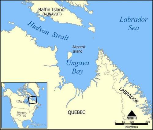 Akpatok IslandWithin the frigid confines of the Canadian Arctic, Akpatok Island ascends from the sea