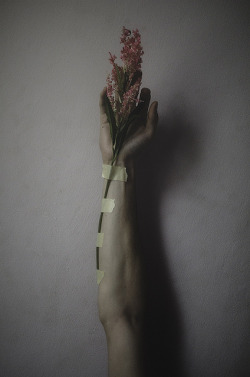 coldemi:  132/365 by Manuel Estheim on Flickr.