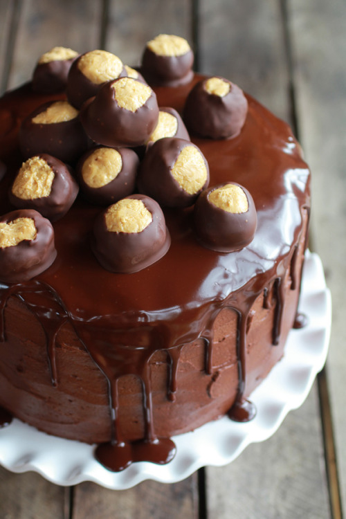 foodfuckery:Ultimate Bourbon (Chocolate Peanut Butter) Buckeye CakeRecipe