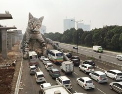 catsbeaversandducks: Catzillas: Giant Cats In Urban Landscapes Indonesian artist Fransdita Muafidin publishes a series of photomontages with kittens and fat adult cats among the urban landscapes from around the world. Via Design You Trust 