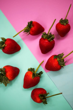 redefiningfood:  We received Strawberries the size of my fist the other day. For someone who loves fruit, this is amazing. For someone who loves fruit and lives in the tropics where the only strawberries are grown in Chiang Mai the size of babies’