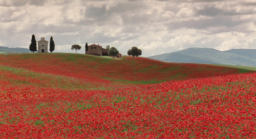 Under the Tuscan Sun (2003) dir. Audrey Wells