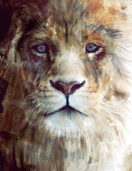 lohrien:  Illustrations by Amy Hamilton