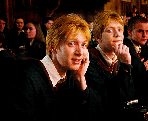 HCs Of The Weasley Twins And A S/o That Selfharms