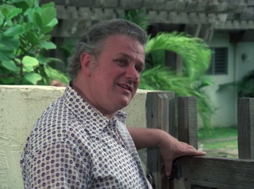 Hawaii Five-O (TV Series) - S8/E9 ’Retire in Sunny Hawaii… Forever’ (1975)Charles Durning as 