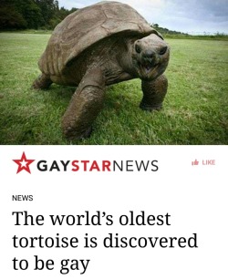 fvace:  ithelpstodream:  The world’s oldest tortoise is in a relationship with a younger reptile, and it turns out that tortoise is a male. Jonathan, who is 186 years old, has been in a relationship with a fellow tortoise Frederic for the past 26 years.