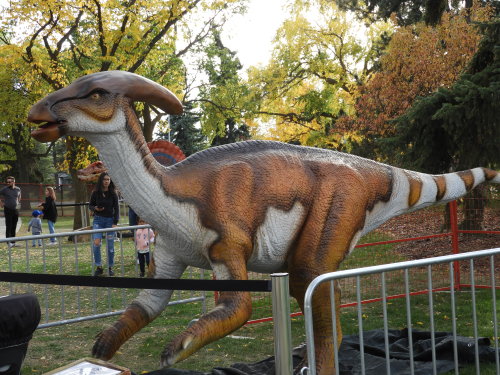 Went to Jurassic Festival today! It had some pretty cool animatronics :D &frac12;