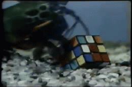thegreatgoatgod:theamericankid:Oh great, now there’s ANOTHER species that’s smarter than me That’s i