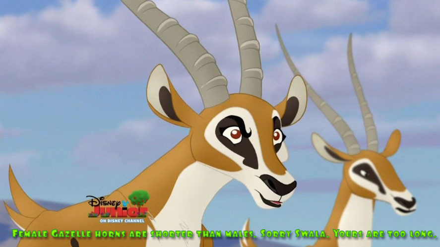 The Lion Guard's animal facts — Female Gazelle horns are shorter than  males. Sorry...
