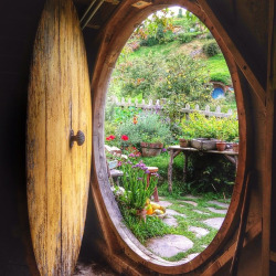 hobbithouses:  Peeking out from inside a hobbit hole. by Yes to Adventure on Flickr. 