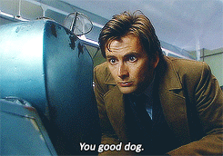 small-magical-mean-world:doctorwho:knight-in-wholocked-armor:K-9 Knows who’s a good dog.Doctor Who S