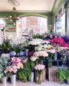 fleur-aesthetic:instagram | gulshanlondon 