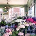 fleur-aesthetic:instagram | gulshanlondon 